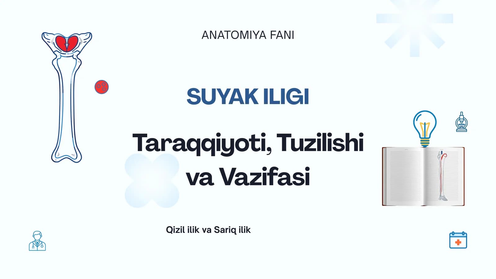Suyak iligi taraqqiyoyi, tuzilishi va vazifasi. Qizil ilik va sariq ilik