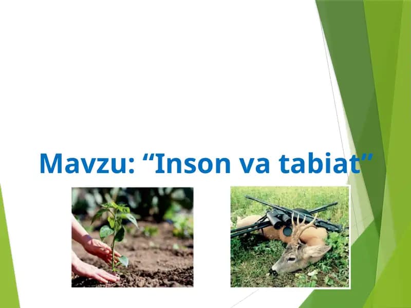 Insonvatabiat