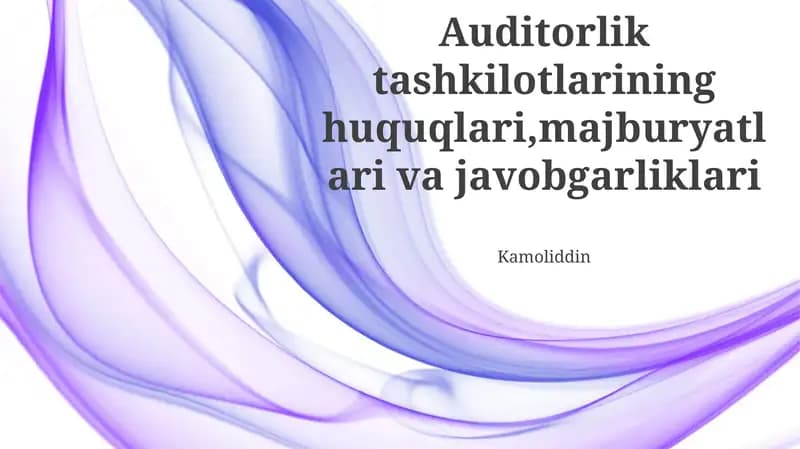 Audit Tashkilotlarining Huquqlari