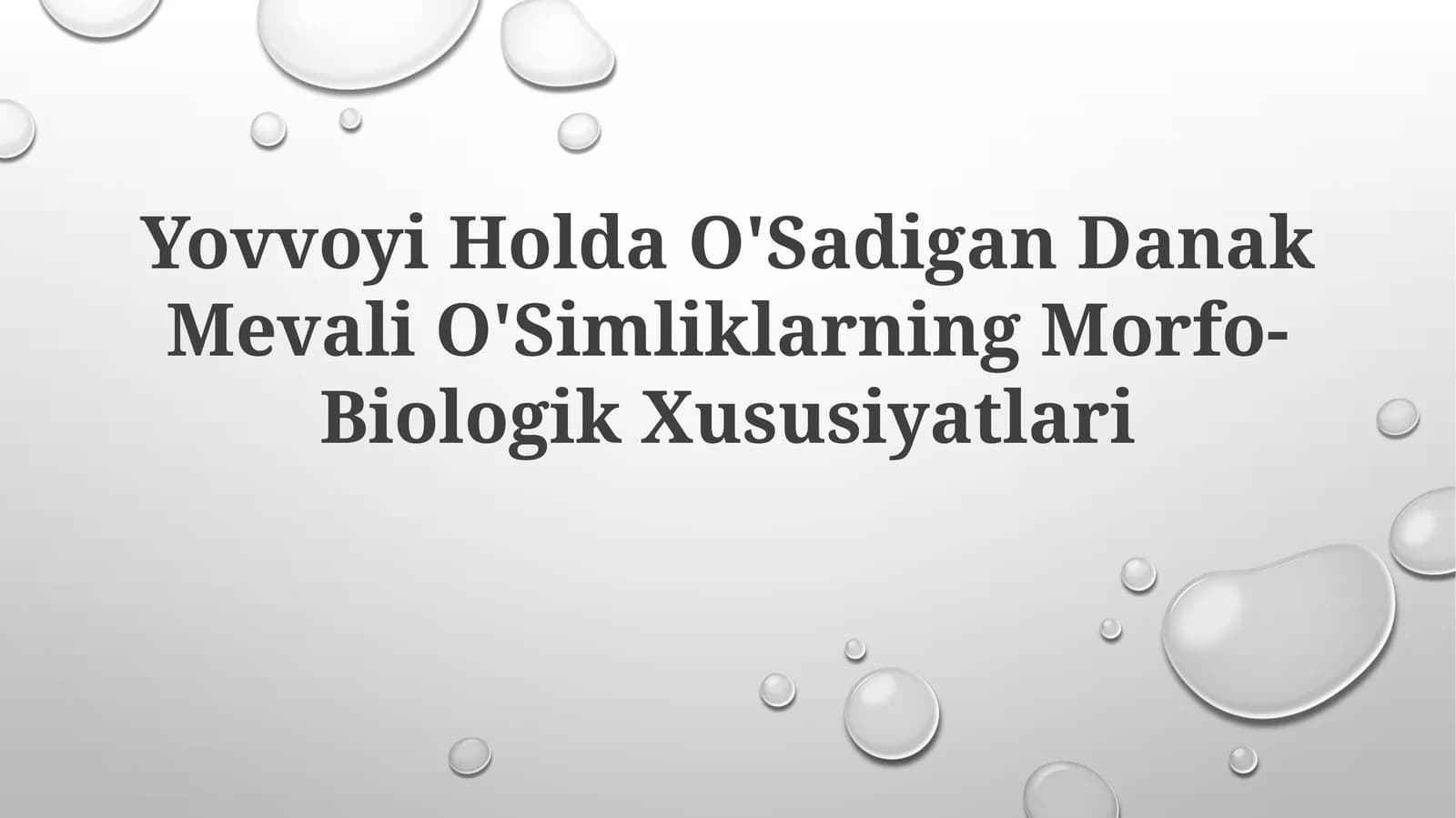 Yovvoyi Holda O'Sadigan Danak Mevali O'SimliklarningMorfo-BiologikXususiyatlari