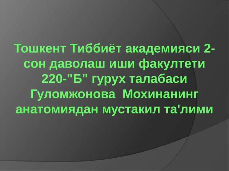 Орқа мия нервлари