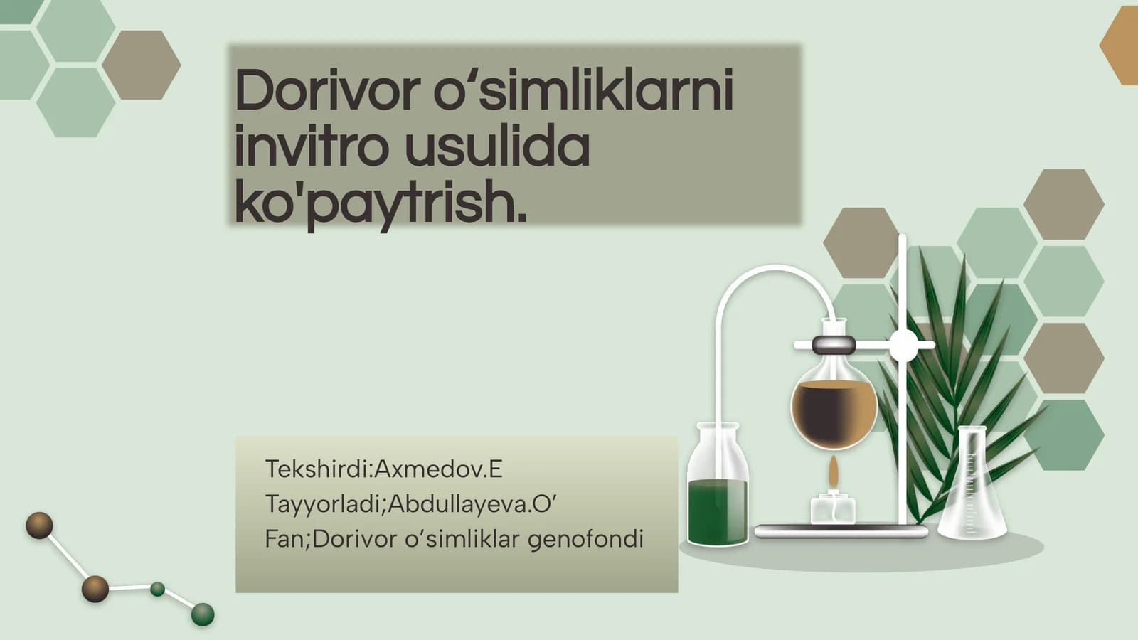 Dorivor o'simliklarni invitro usulida ko'paytirish