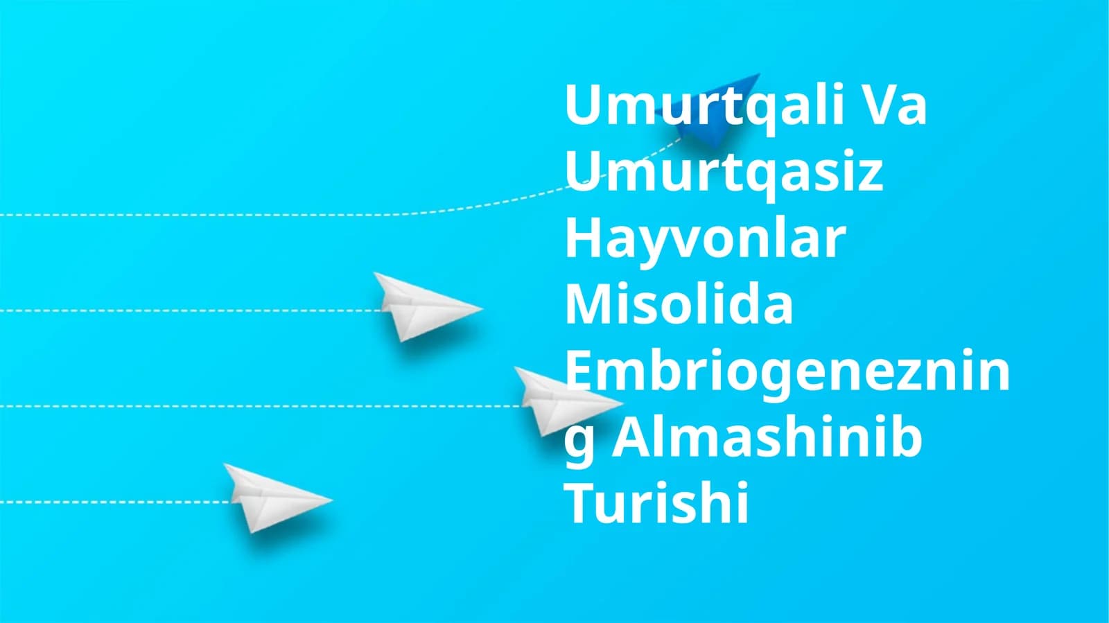 Umurtqali Va Umurtqasiz Hayvonlar Misolida Embriogenezning Almashinib Turishi