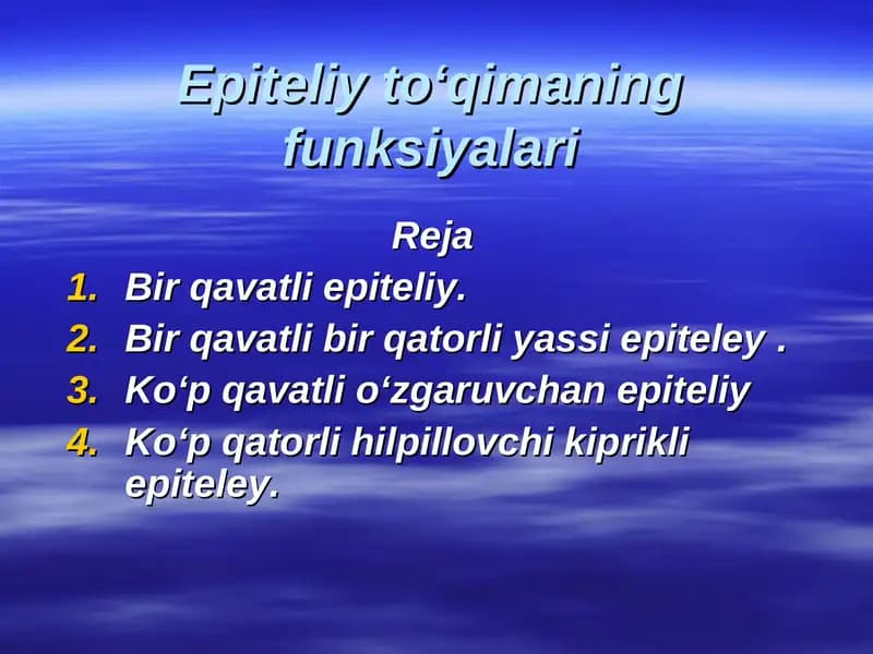 Epiteliy toʻqimaning funksiyalari