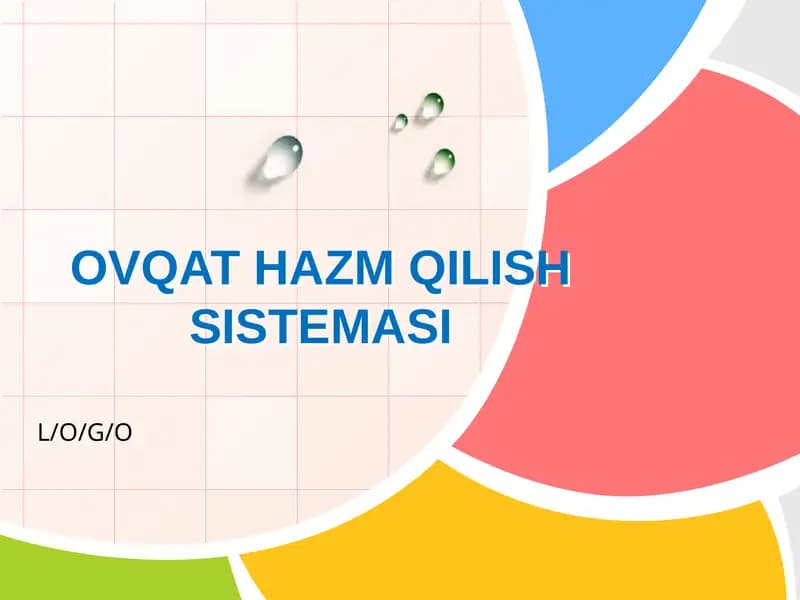 OVQAT HAZM QILISH SISTEMASI