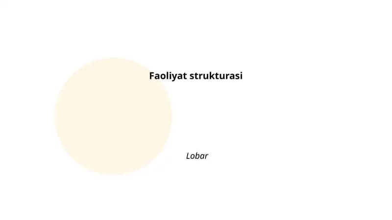 Faoliyat strukturasi