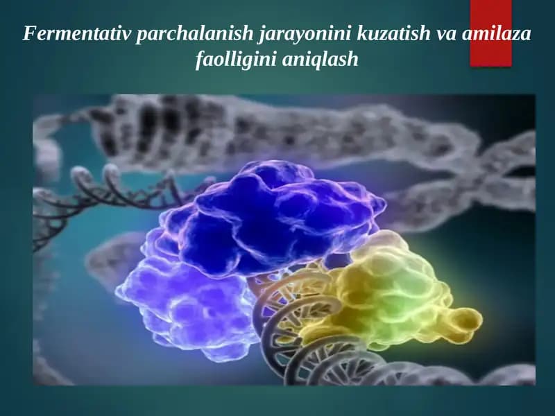 Fermentativ parchalanish jarayonini kuzatish va amilaza faolligini aniqlash