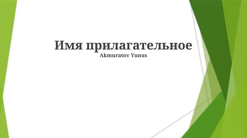 Имя прилагательное
