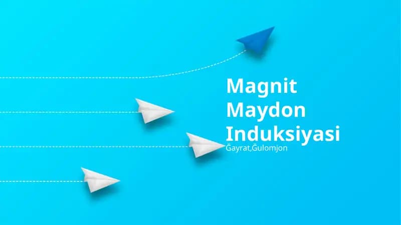 Magnit Maydon Induksiyasi