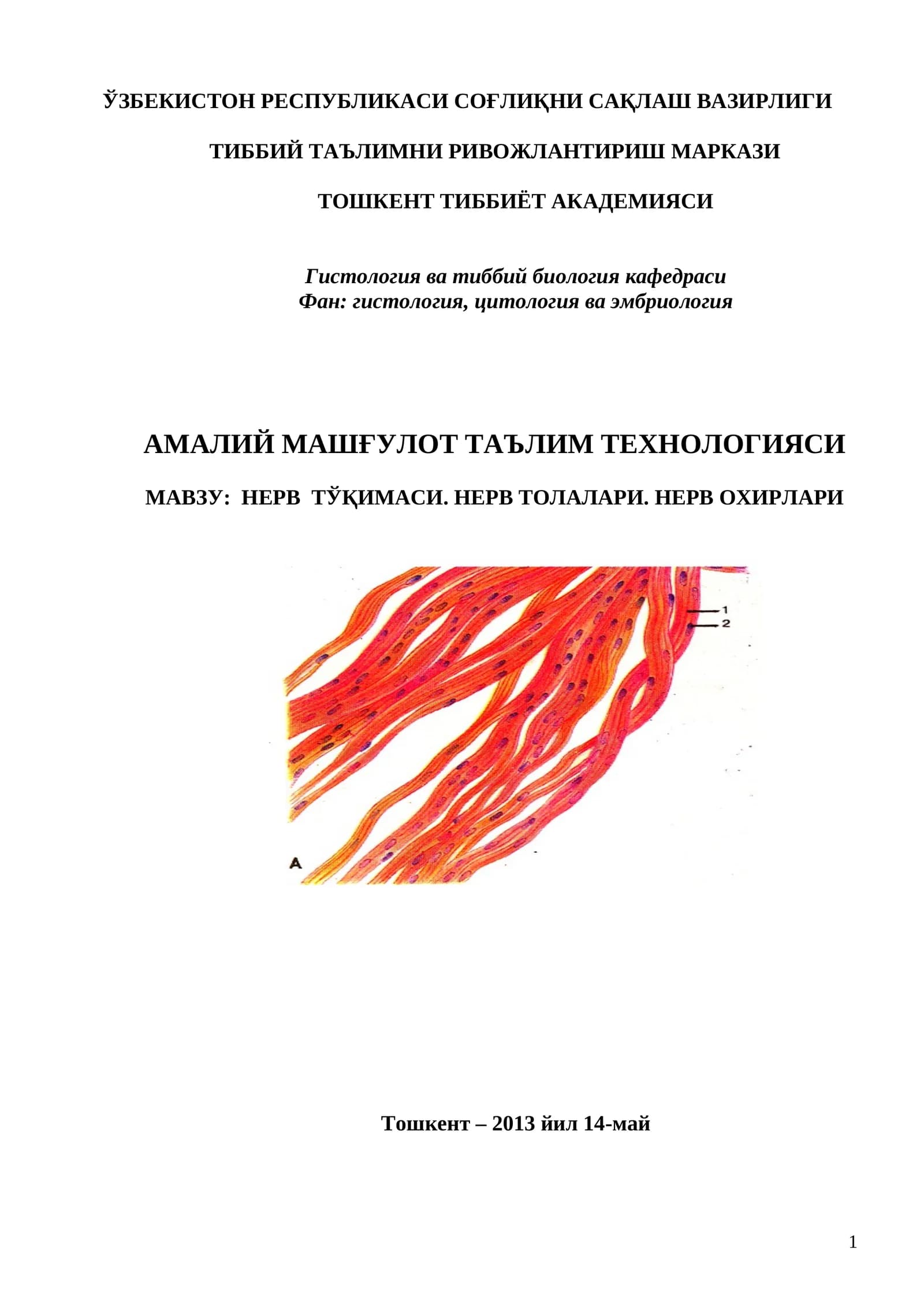 НЕРВ ТЎҚИМАСИ. НЕРВ ТОЛАЛАРИ. НЕРВ ОХИРЛАРИ