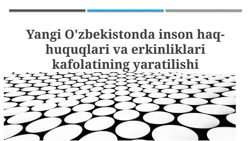 Konstitutsiyaviy islohotlar va inson huquqlari kafolatlari