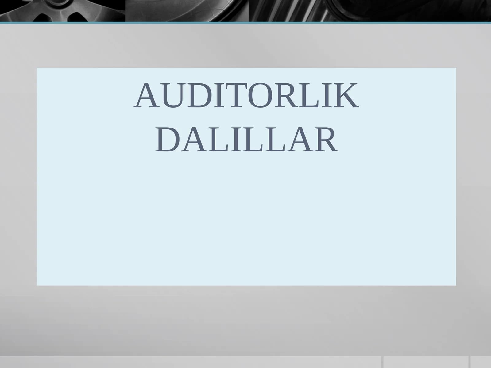 AUDITORLIK DALILLAR
