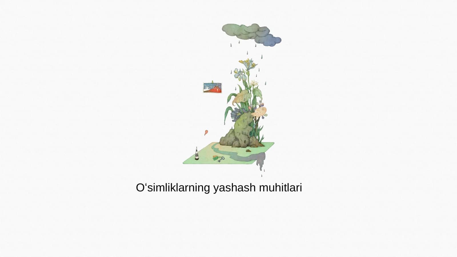 Oʻsimliklarning yashash muhitlari