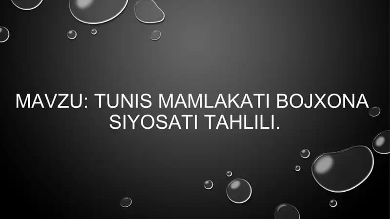 Tunis Mamlakati Bojxonasidagi Iqtisodiyot Tahqiqi