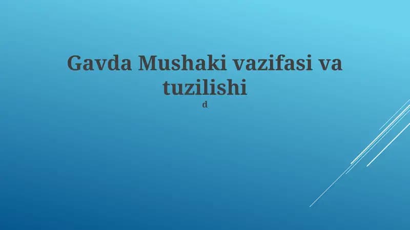 Gavda Mushaki vazifasi va tuzilishi