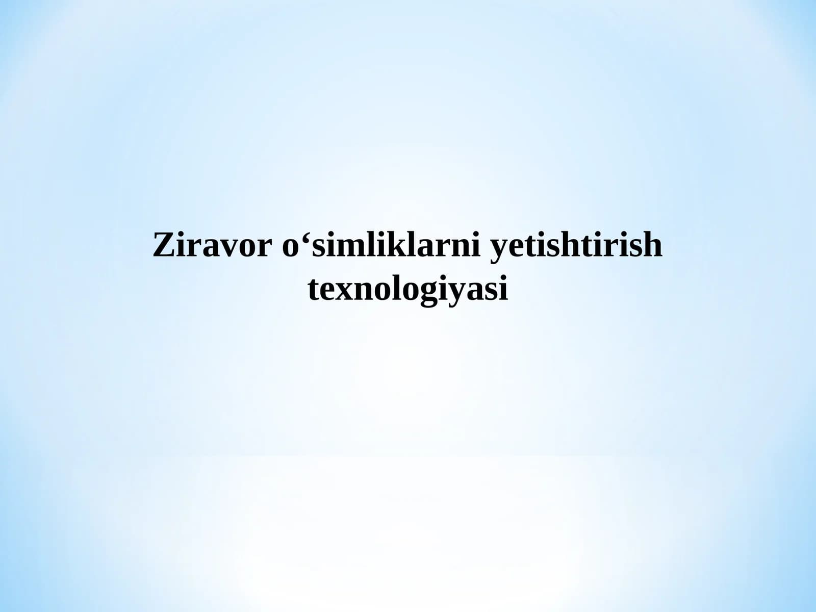 Ekma za'faron o‘simliklarini yetishtirish texnologiyasi