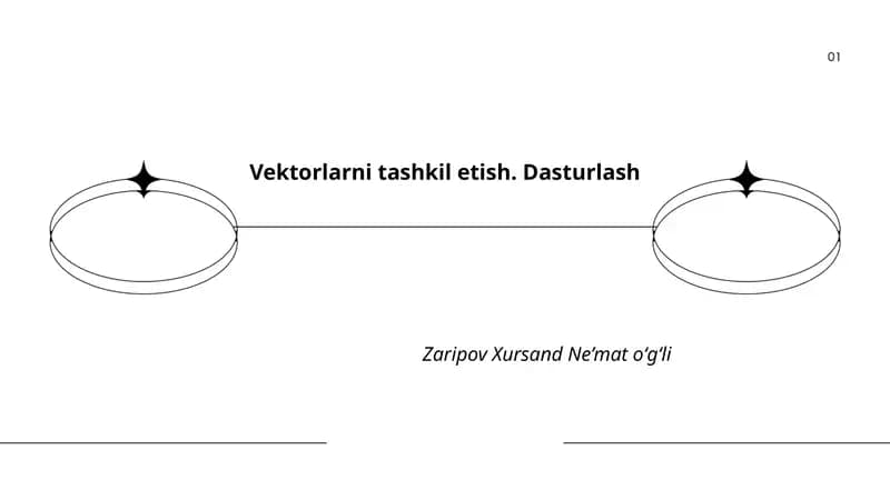 Vektorlarni tashkil etish. Dasturlash