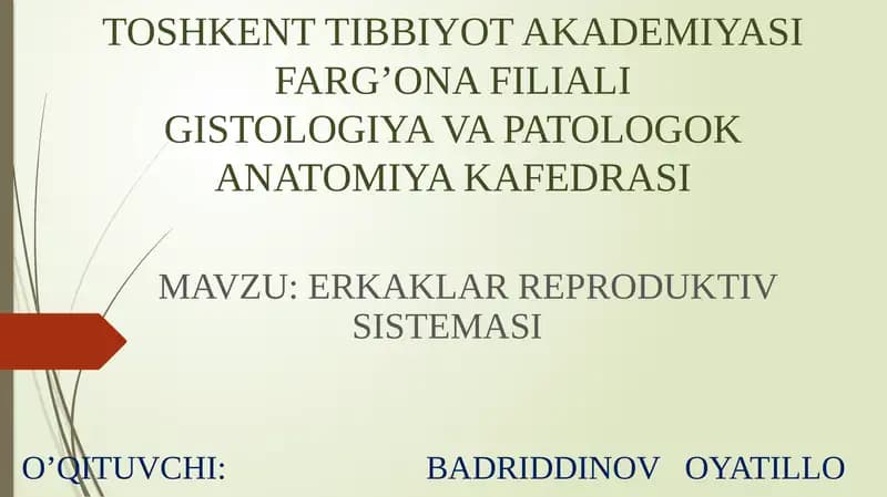 ERKAKLAR REPRODUKTIV SISTEMASI