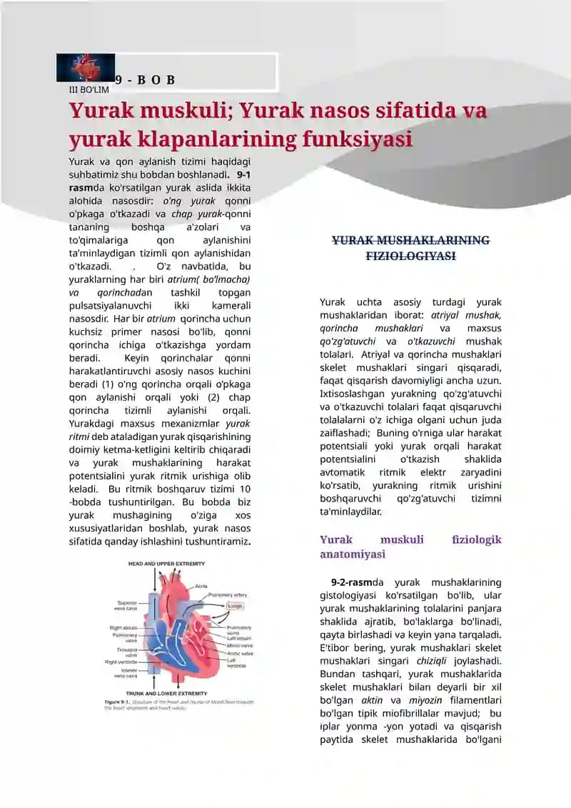 Yurak va qon aylanish tizimi