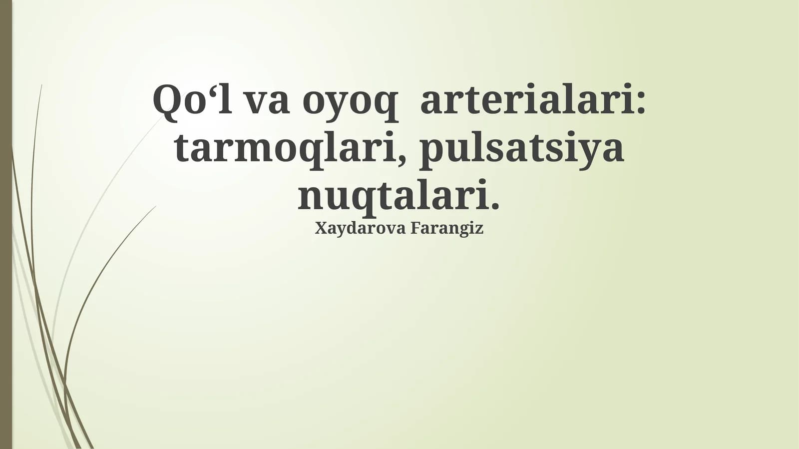 Qo'l va oyoq arterialari: tarmoqlari, pulsatsiya nuqtalari