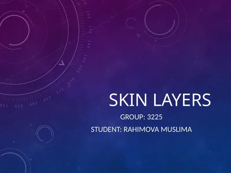 Skin Layers