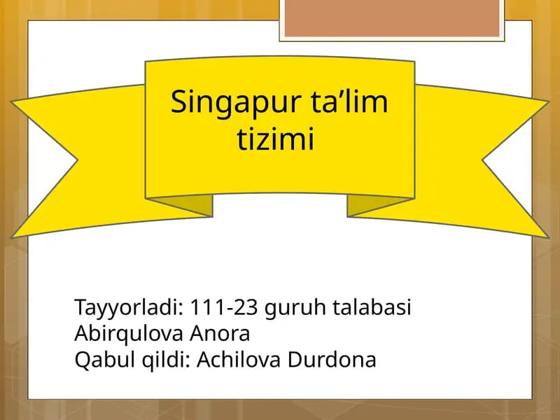 Singapur taʼlim tizimi