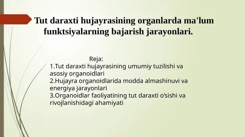 Tut daraxti hujayrasining organlardagi ma'lum funksiyalarning bajarilish jarayonlari