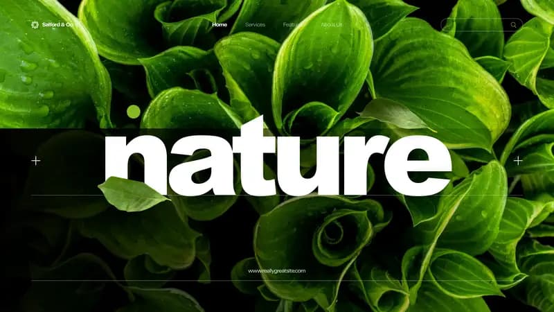 prezentatsiya taqdimot tabiat prezentation nature