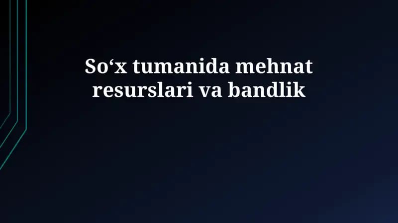 Soʻx tumanida mehnat resurslari va bandlik