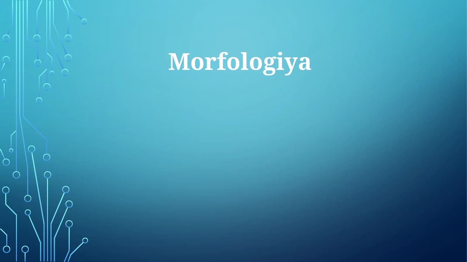 Morfologiya