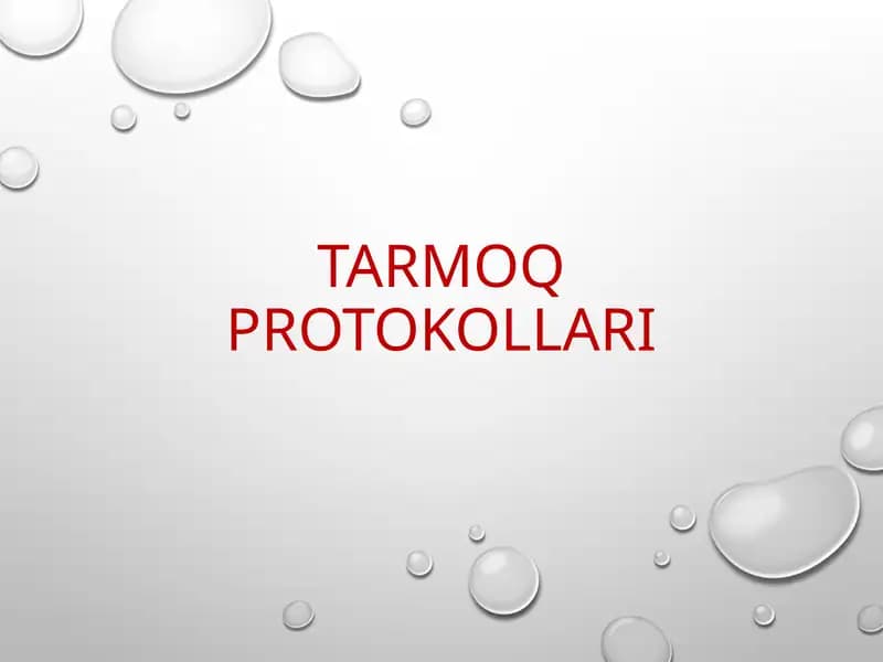 Tarmoq protokollari
