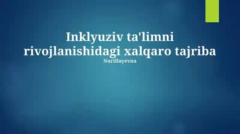 Inklyuziv Ta'limni Rivojlantirishdagi Xalqaro Tajriba