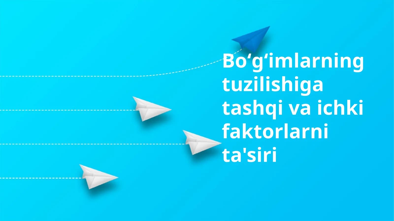 Boʻgʻimlarning tuzilishiga tashqi va ichki faktorlarni ta'siri