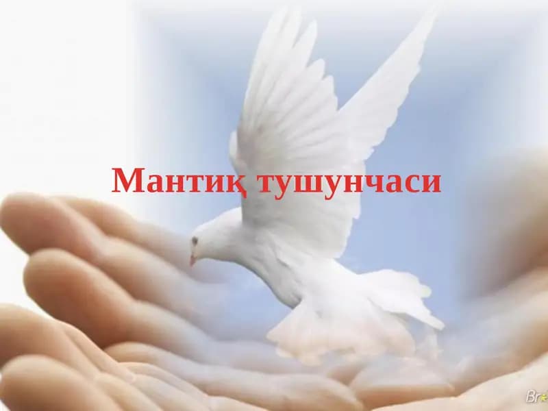 Мантиқ тушунчаси