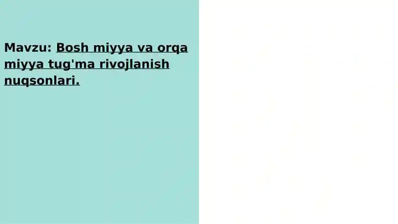 Bosh miyya va orqa miyya tug'ma rivojlanish nuqsonlari