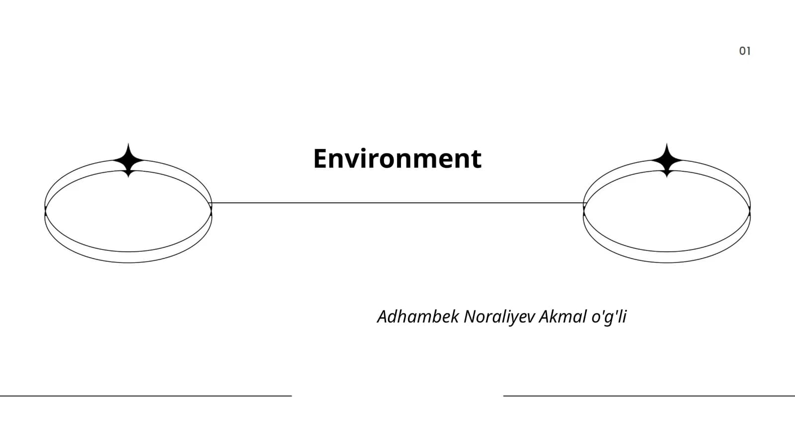 Environment