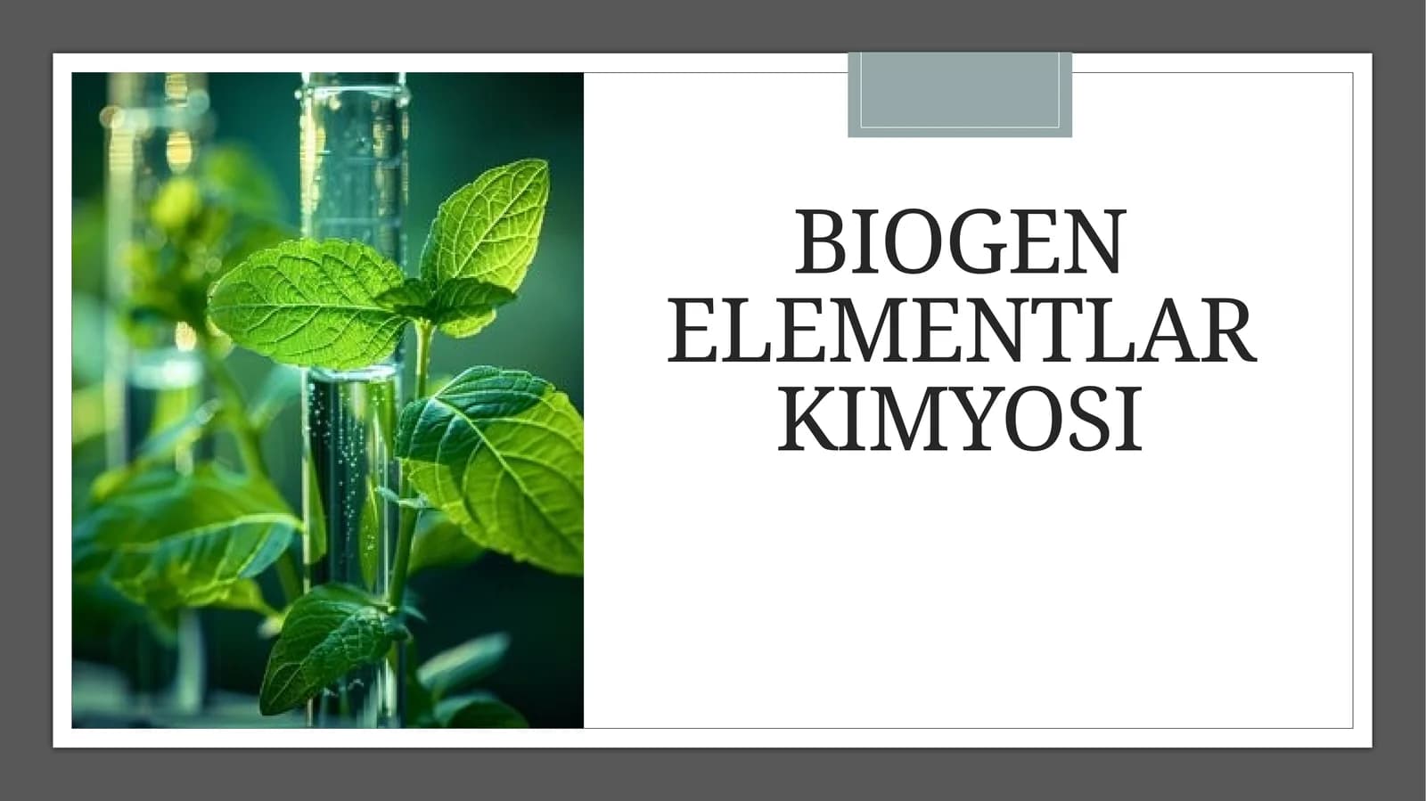 Biogenelementlar kimyosi