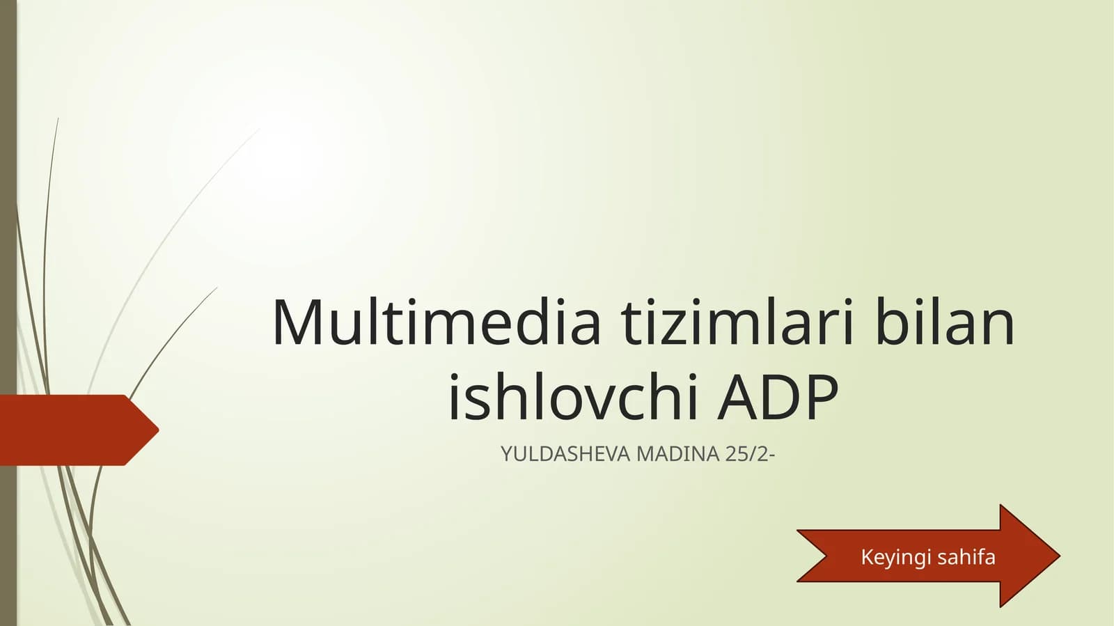 Multimedia tizimlari bilan ishlovchi ADP