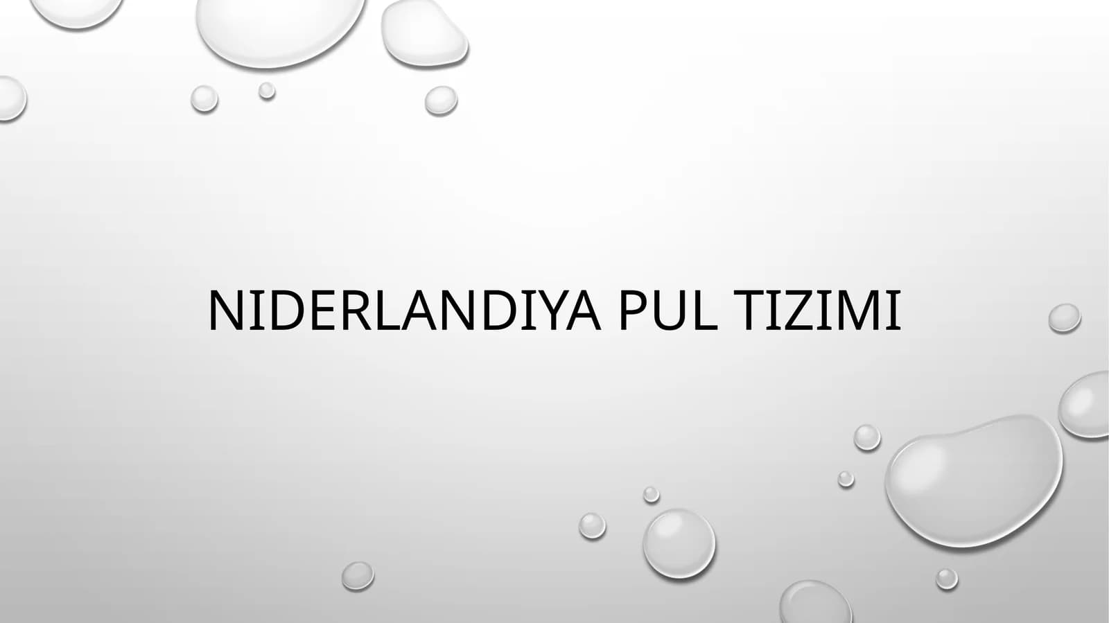 Niderlandiya pul tizimi