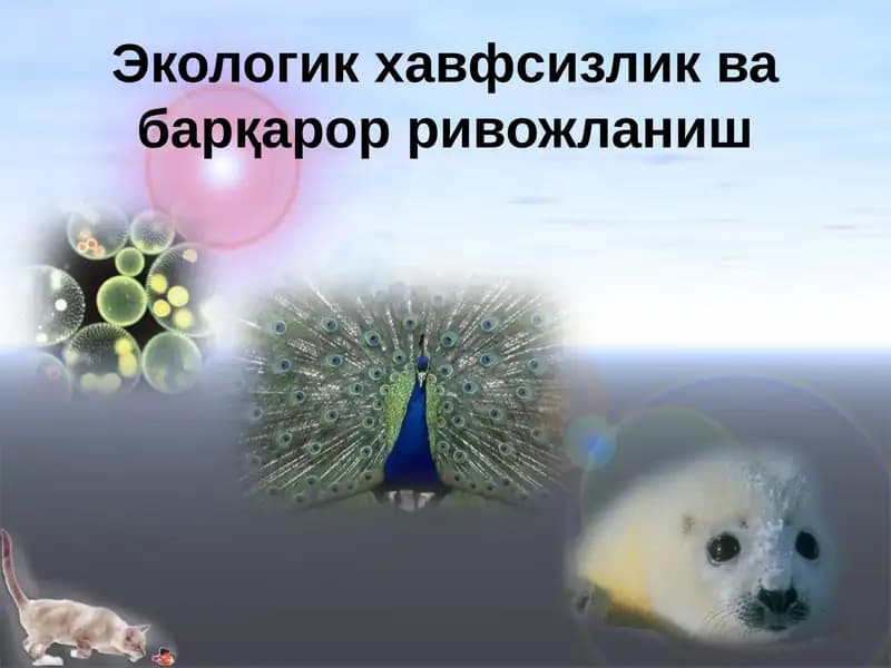 Экологик ҳавфсизлик ва барқарор ривожланиш