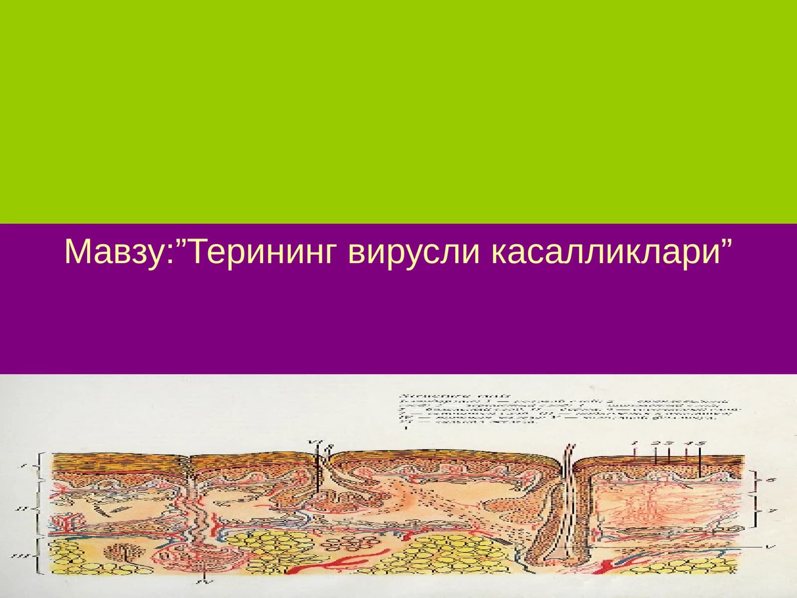 Терининг вирусли касалликлари