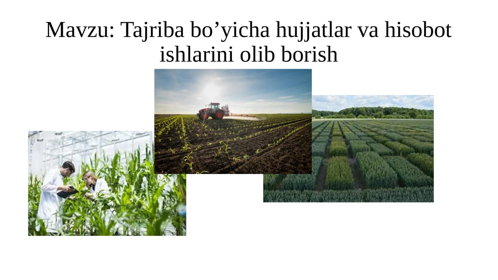 Tajribabo’yichahujjatlarvahisobotishlariniolibborish
