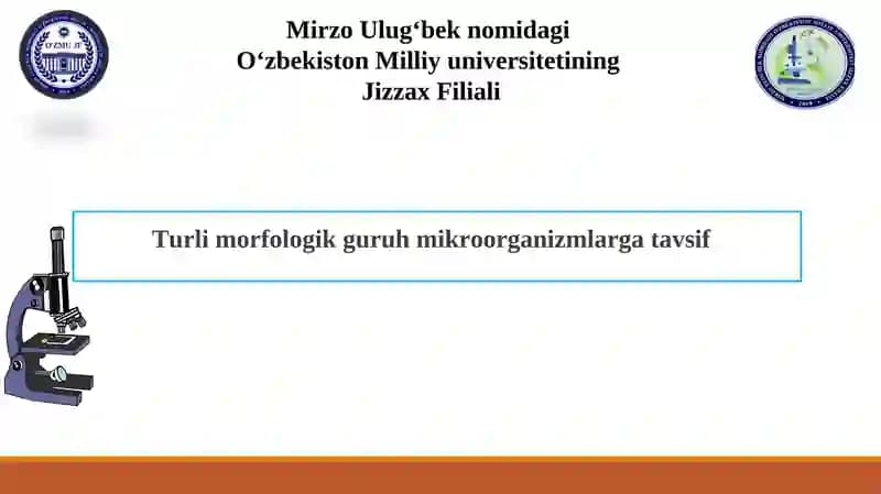 Turli morfologik guruh mikroorganizmlarga tavsif