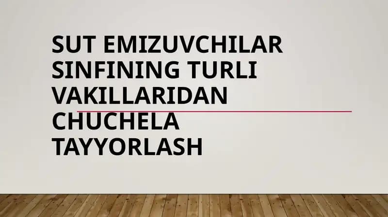 Sut emizuvchilar sinfining turli vakillaridan chuchela tayyorlash