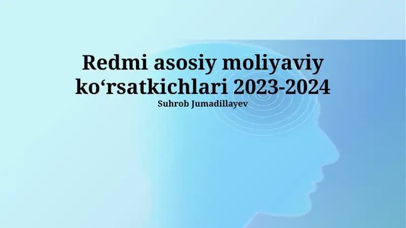 Redmi asosiy moliyaviy koʻrsatkichlari 2023-2024