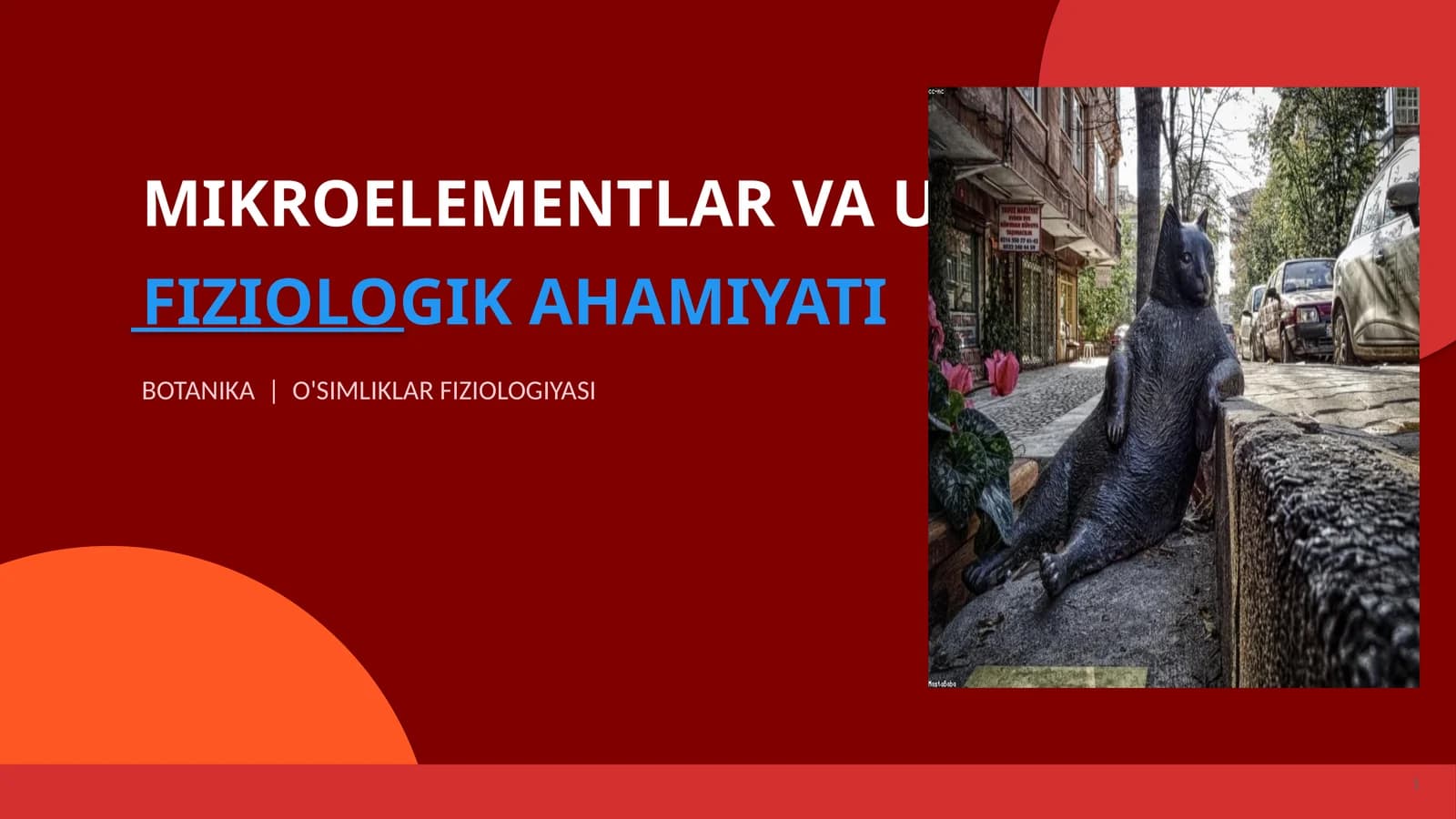 Mikroelementlar va ularning fiziologik ahmiyati