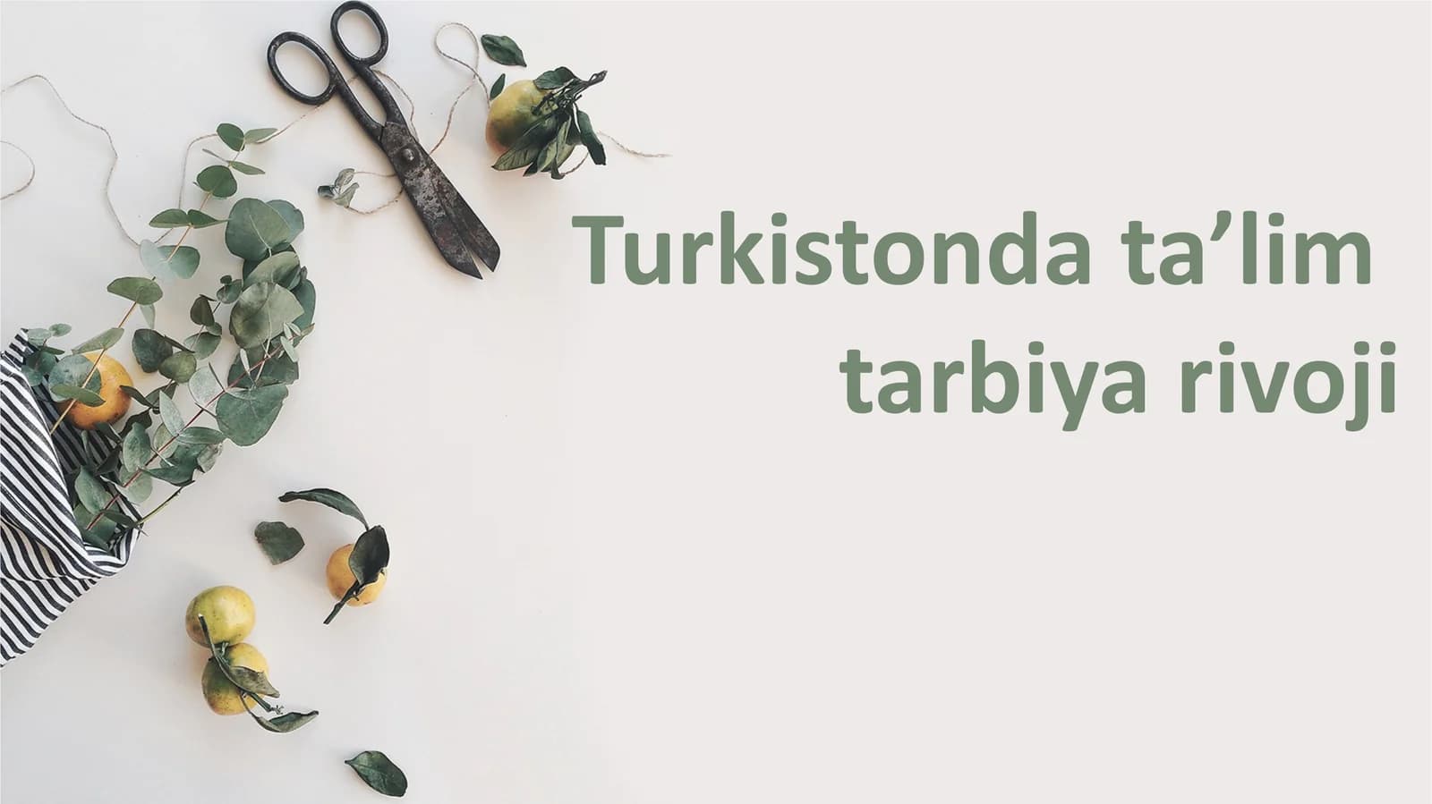 Turkistonda ta’lim  tarbiya rivoji