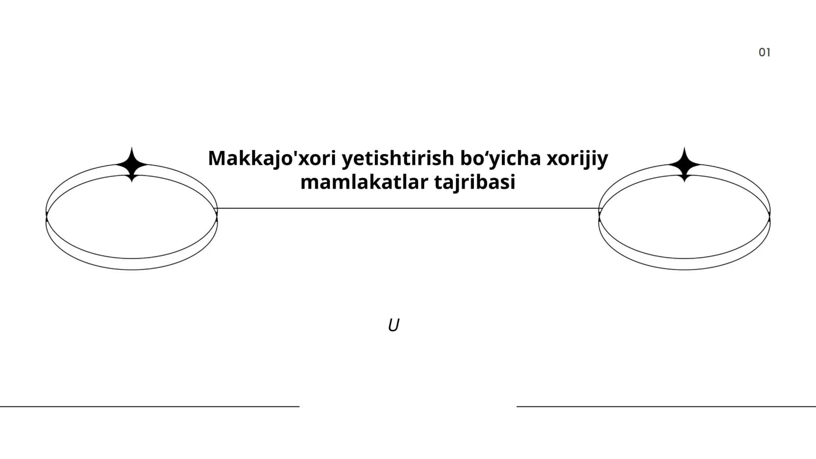 Makkajo'xori yetishtirish boʻyicha xorijiy mamlakatlar tajribasi