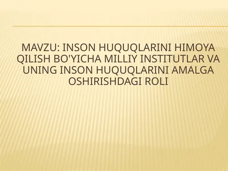 Inson huquqlarini himoya qilish bo'yicha milliy institutlar va uning inson huquqlarini amalga oshirishdagi roli