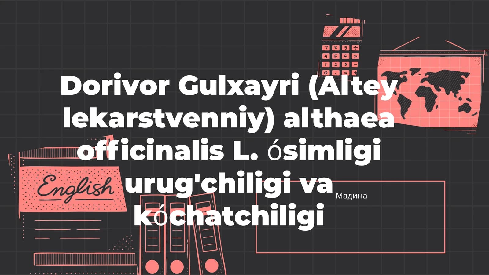 Dorivor Gulxayri (Altey lekarstvenniy)
